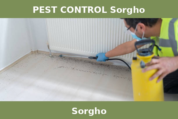 PEST CONTROL Sorgho